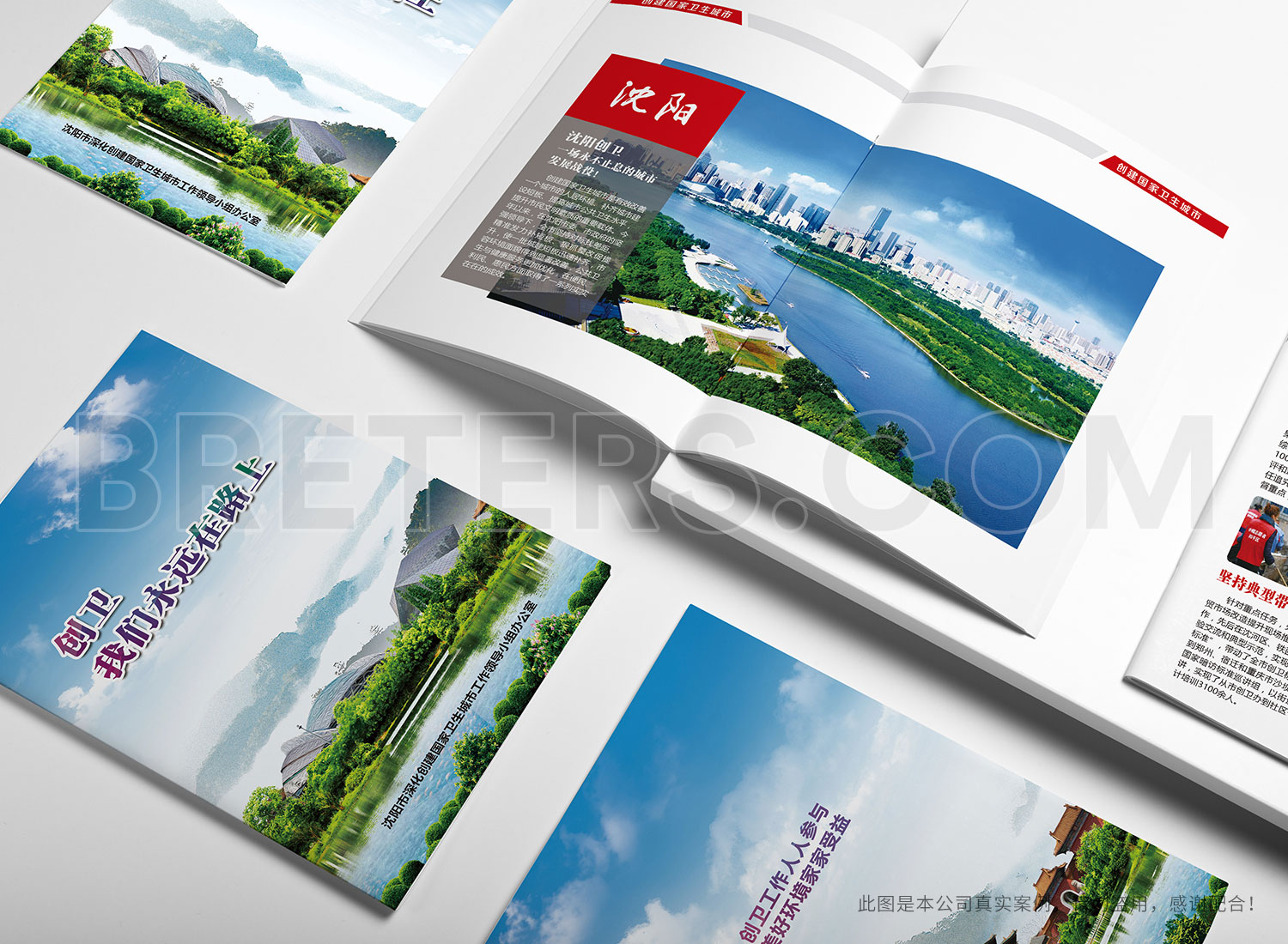 沈陽(yáng)創(chuàng)城宣傳手冊(cè)設(shè)計(jì)