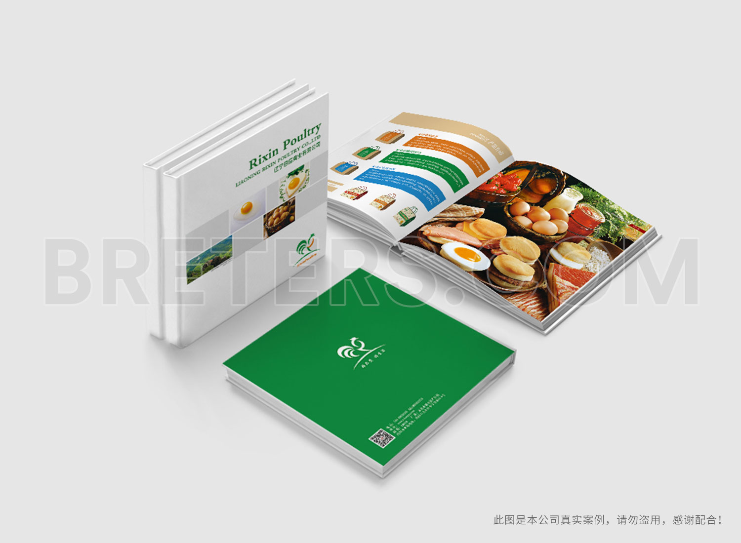 遼寧日信禽業(yè)有限公司畫冊設計