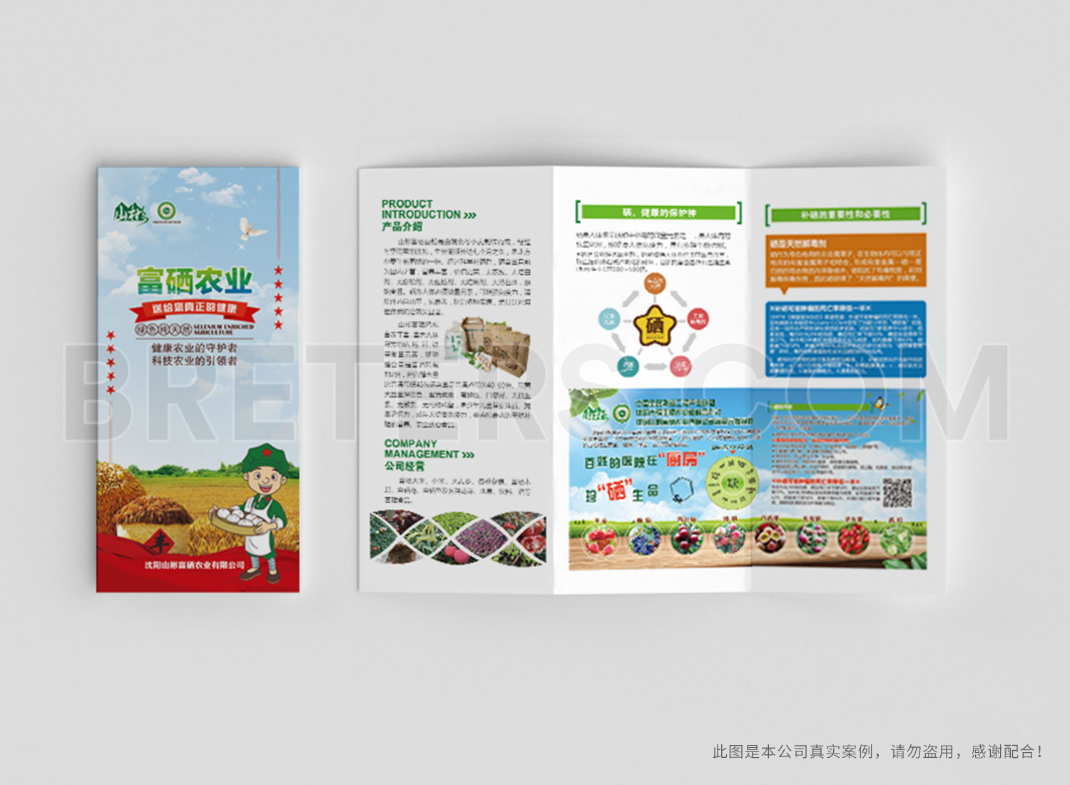 山彬富硒農(nóng)業(yè)宣傳物料設計