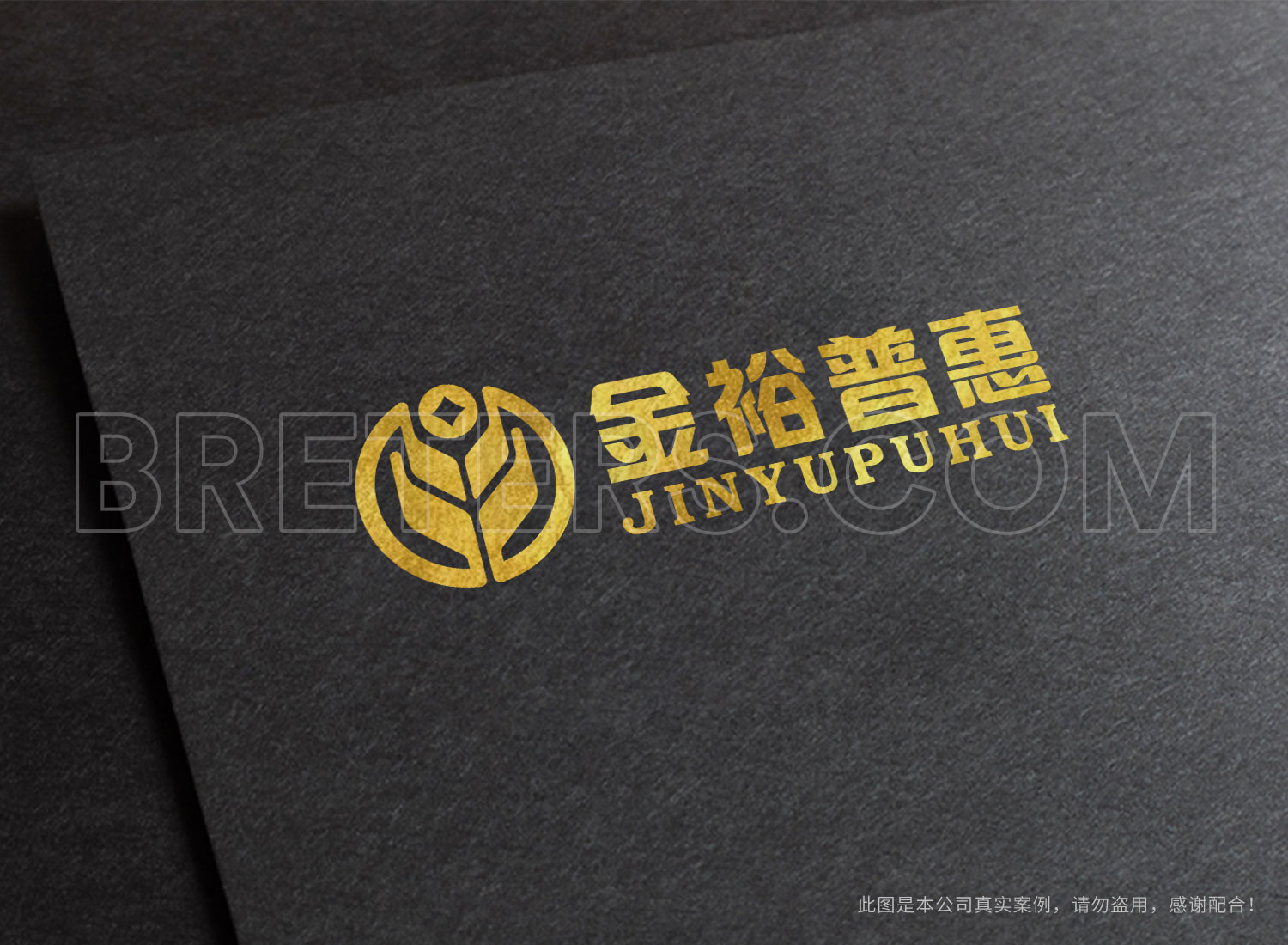金裕普惠logo設(shè)計(jì)