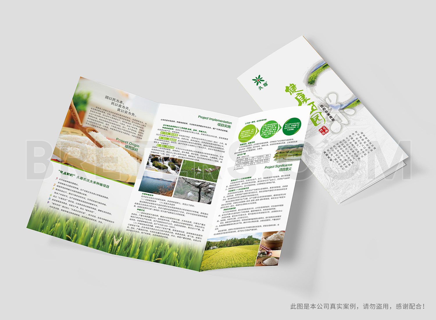 久尊農(nóng)業(yè)折頁設計