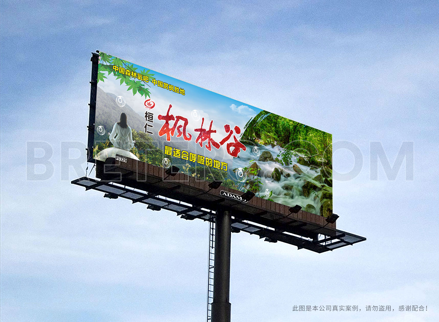 案例新1
